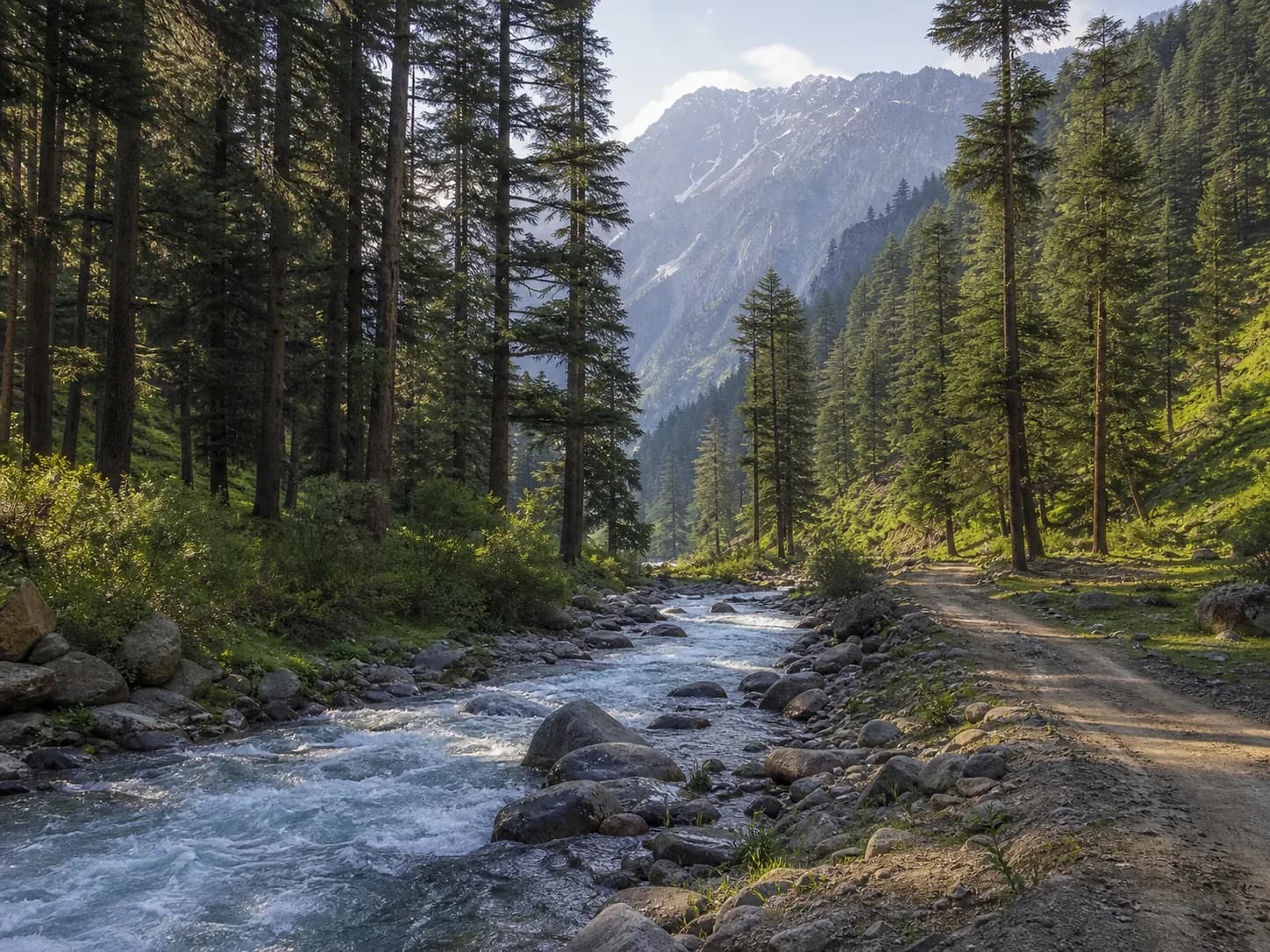 A clear mountain stream and jeep track running through the deodar forest near Kalam